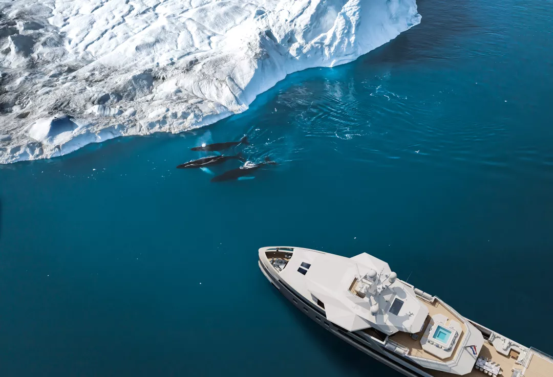 Damen Yachting SeaXplorer 60 polar whales.jpg